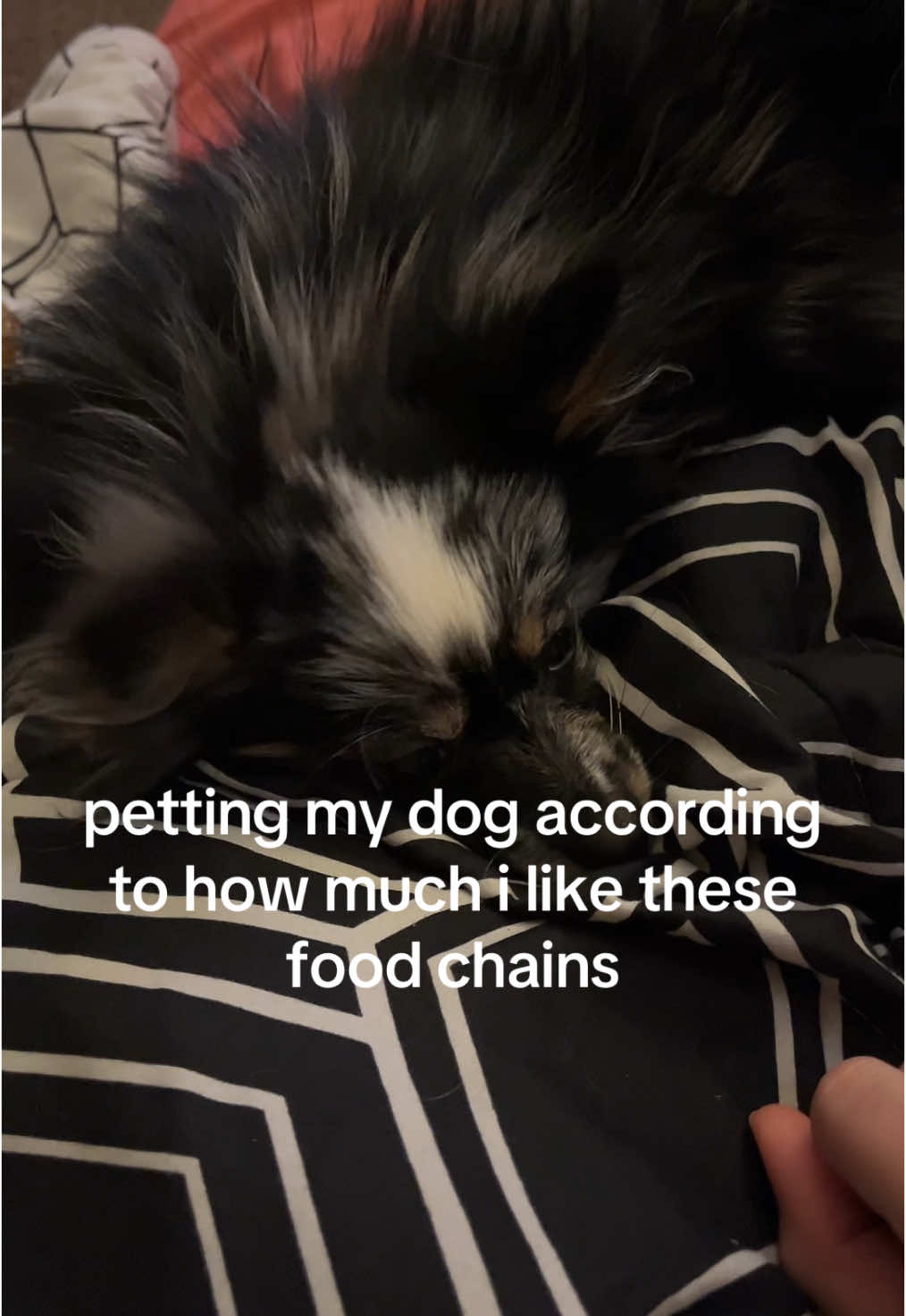 @zoe