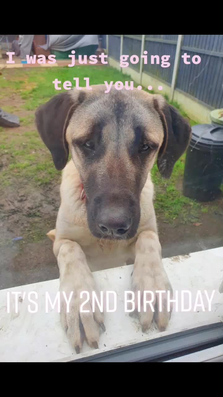 @essexkangals