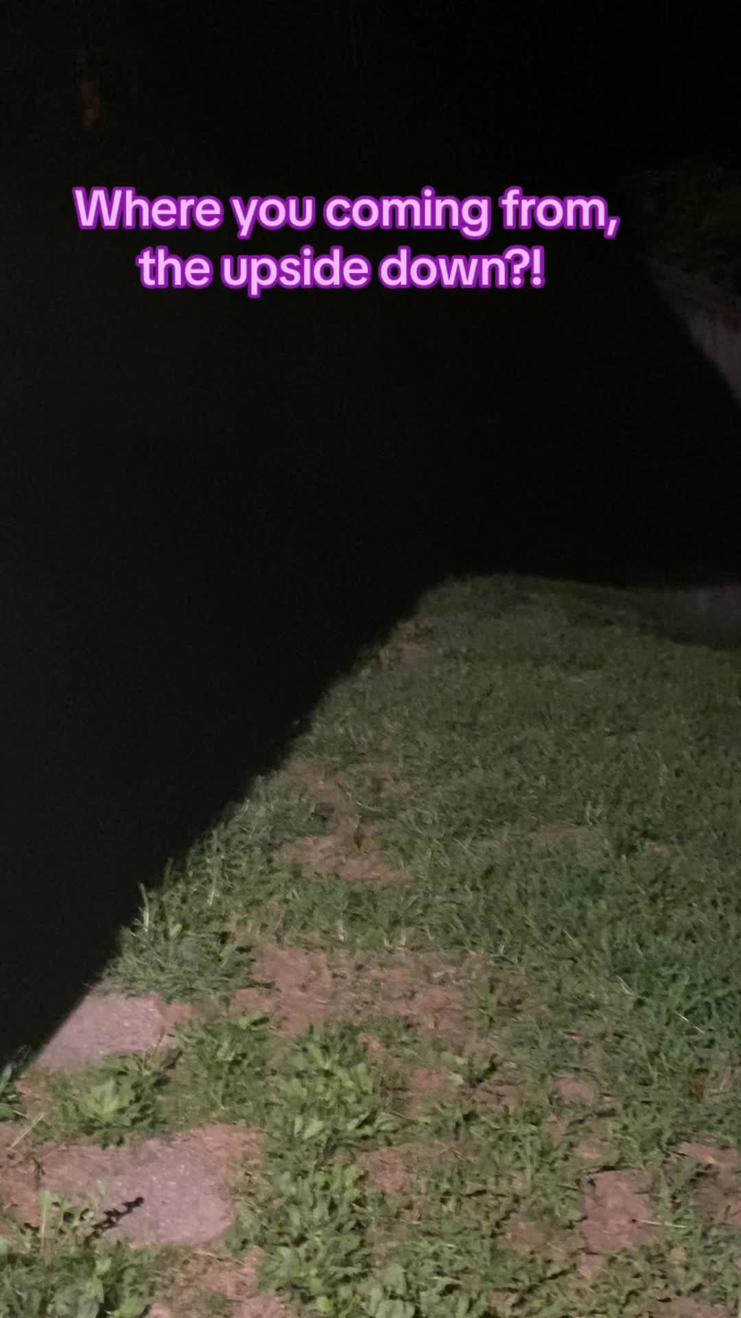 @TheScoopswithCoop