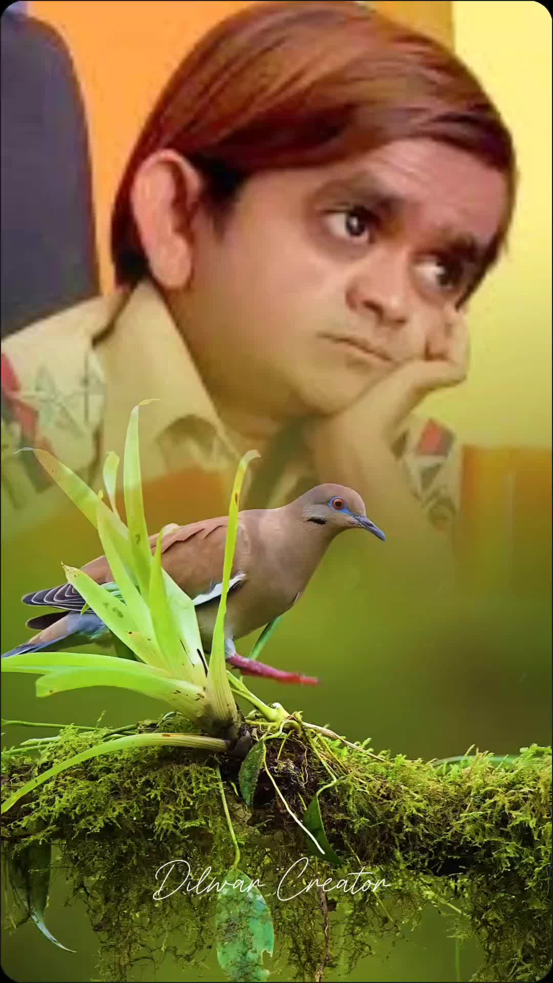 @MR _ ANSARI