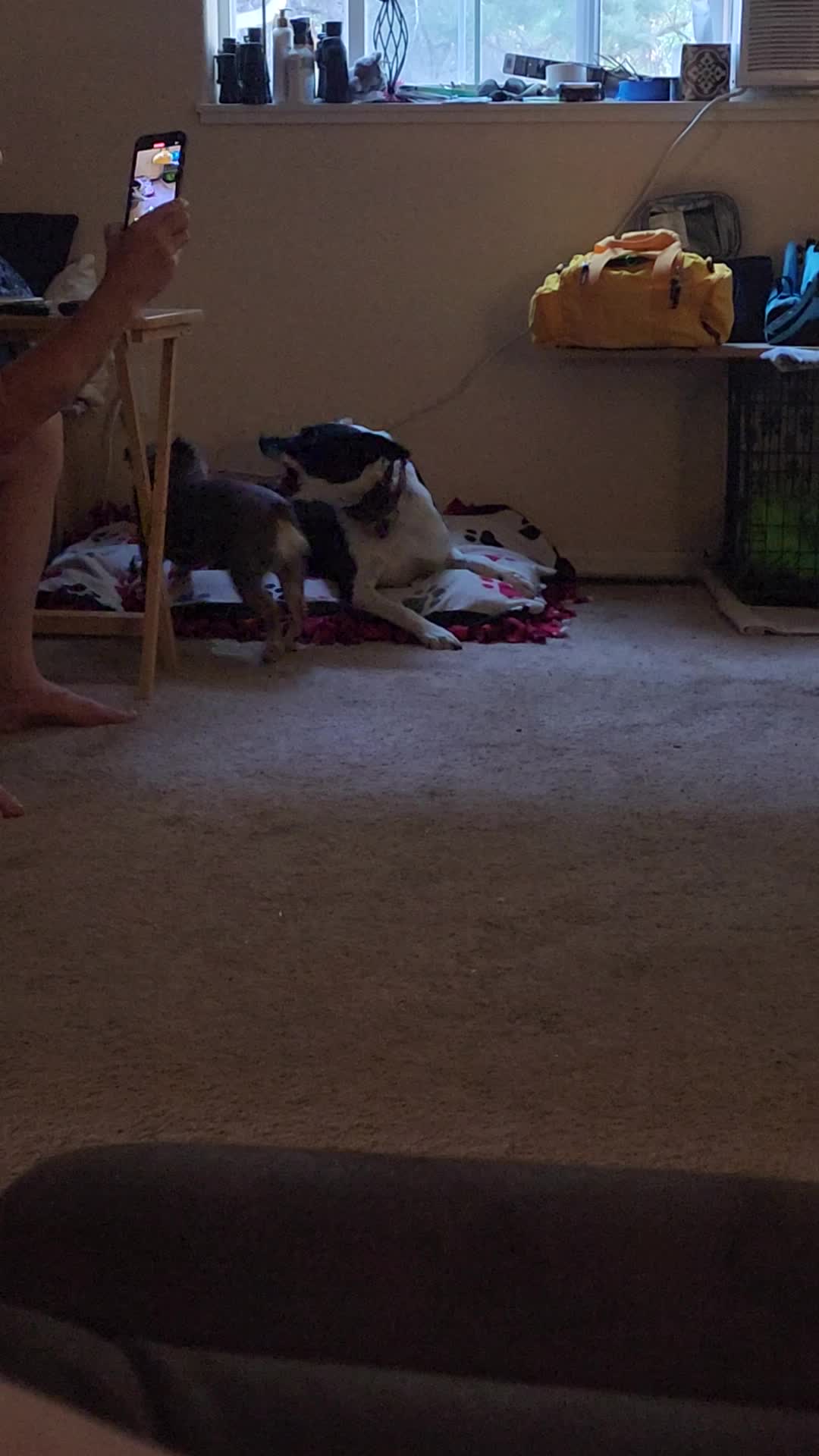 @AdventuresofMumford