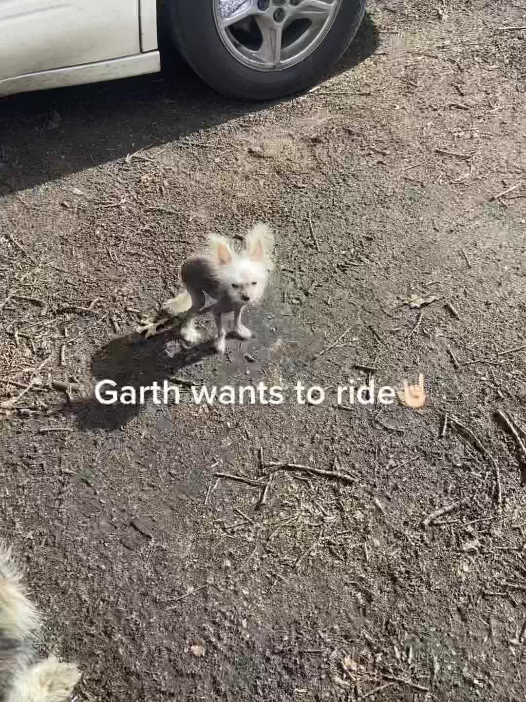 @Garth’s Mom