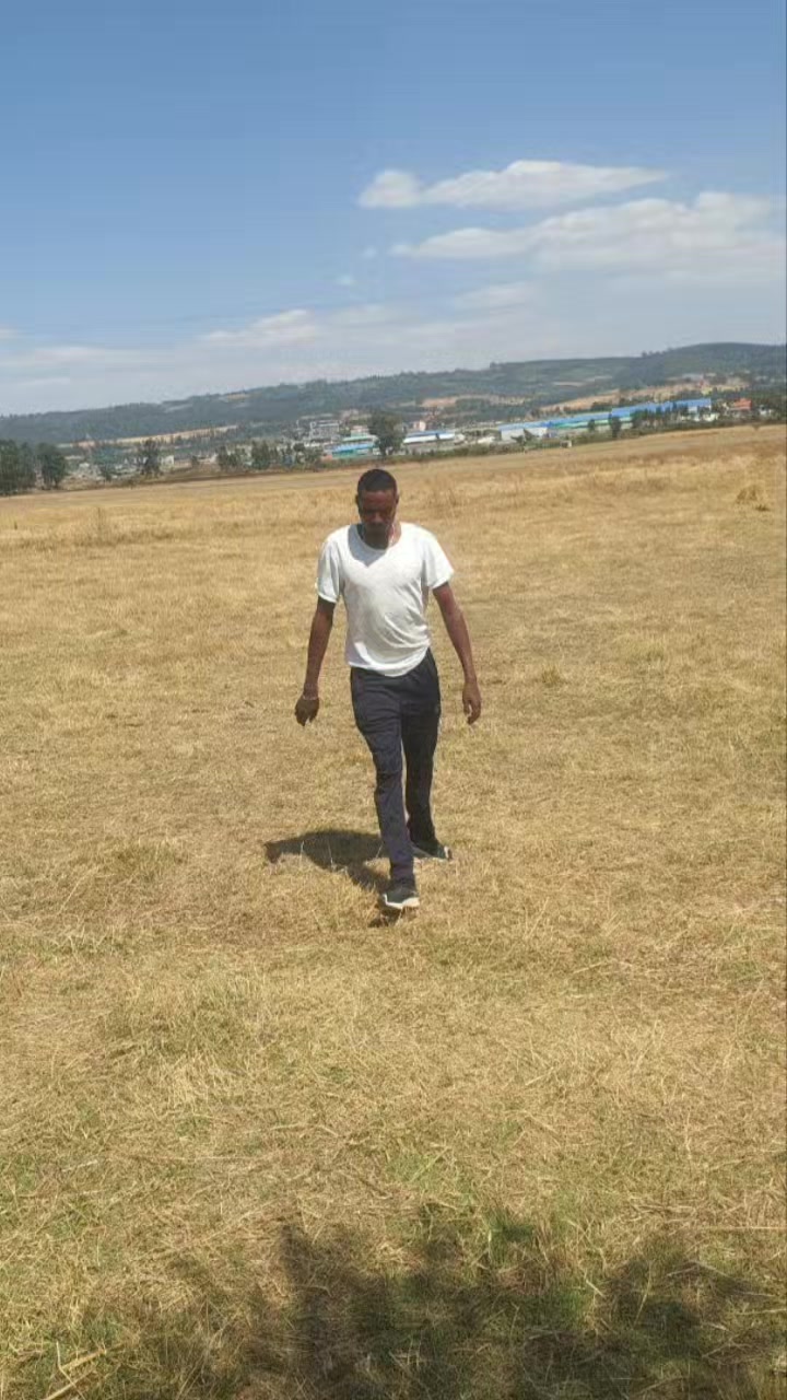@Hin Gabbuu koo Oromoo