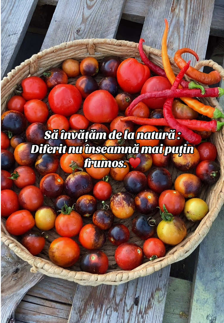 @anishamarrya