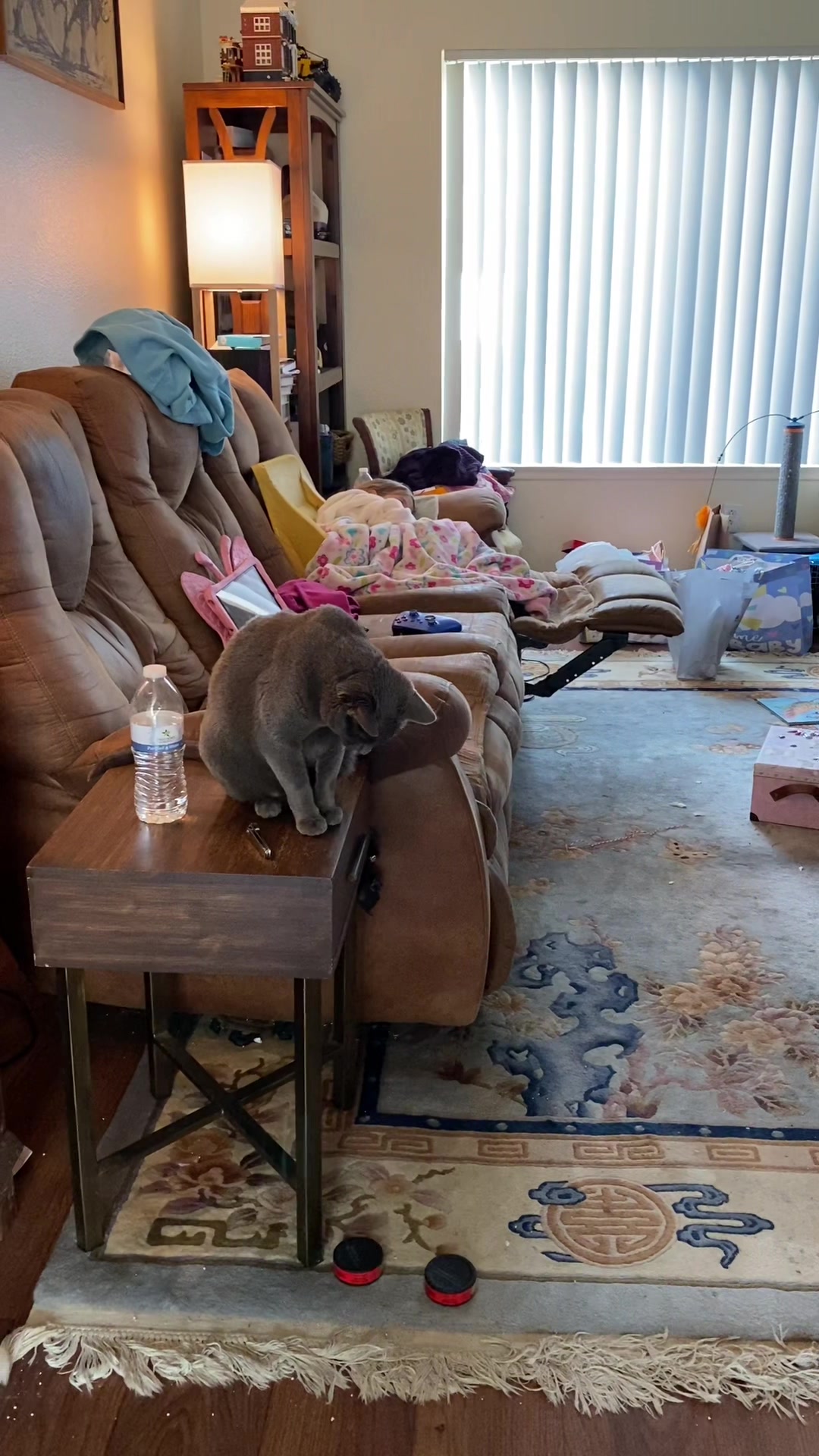@Tiny Home Zoo