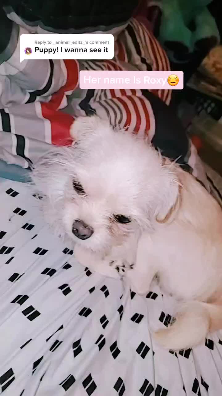 @Saltym3w🐈⬛
