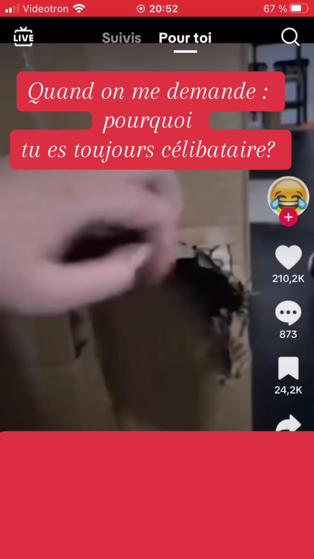 @Émilie Trudeau Verdi
