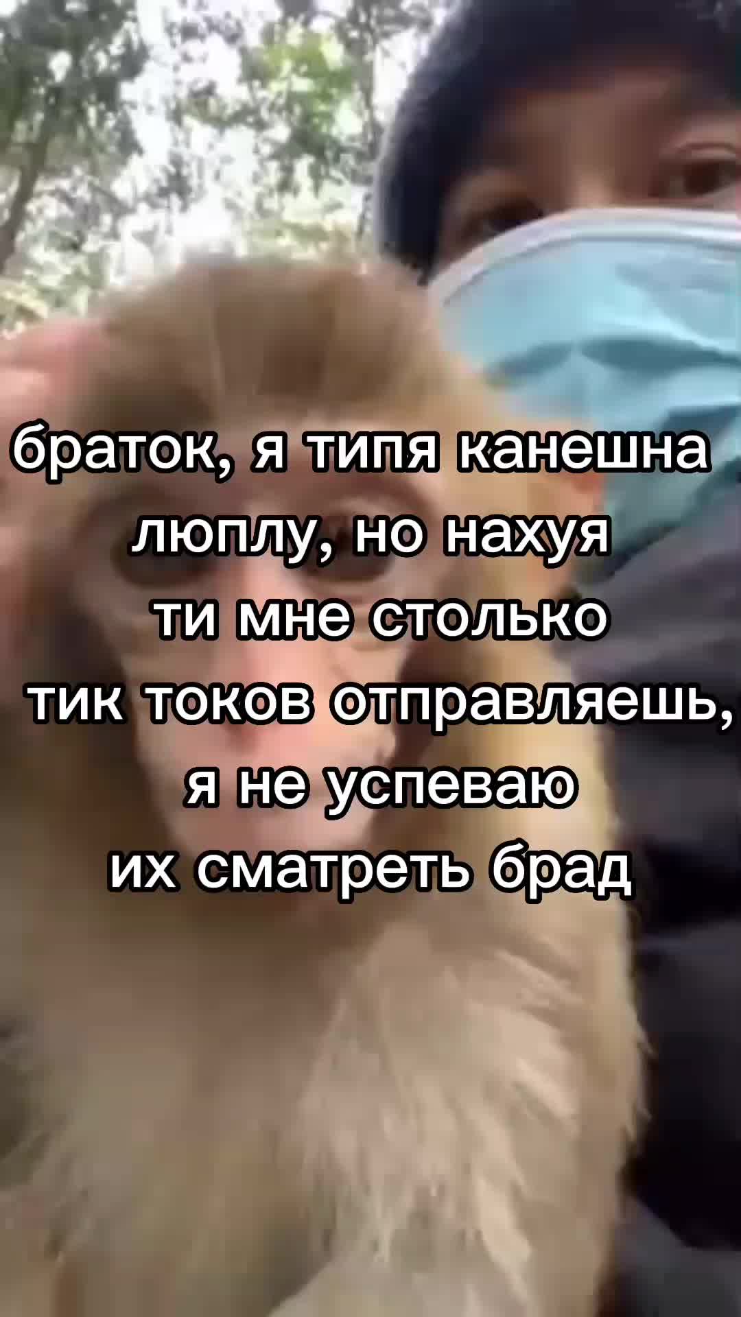 @GifkiCmakakami