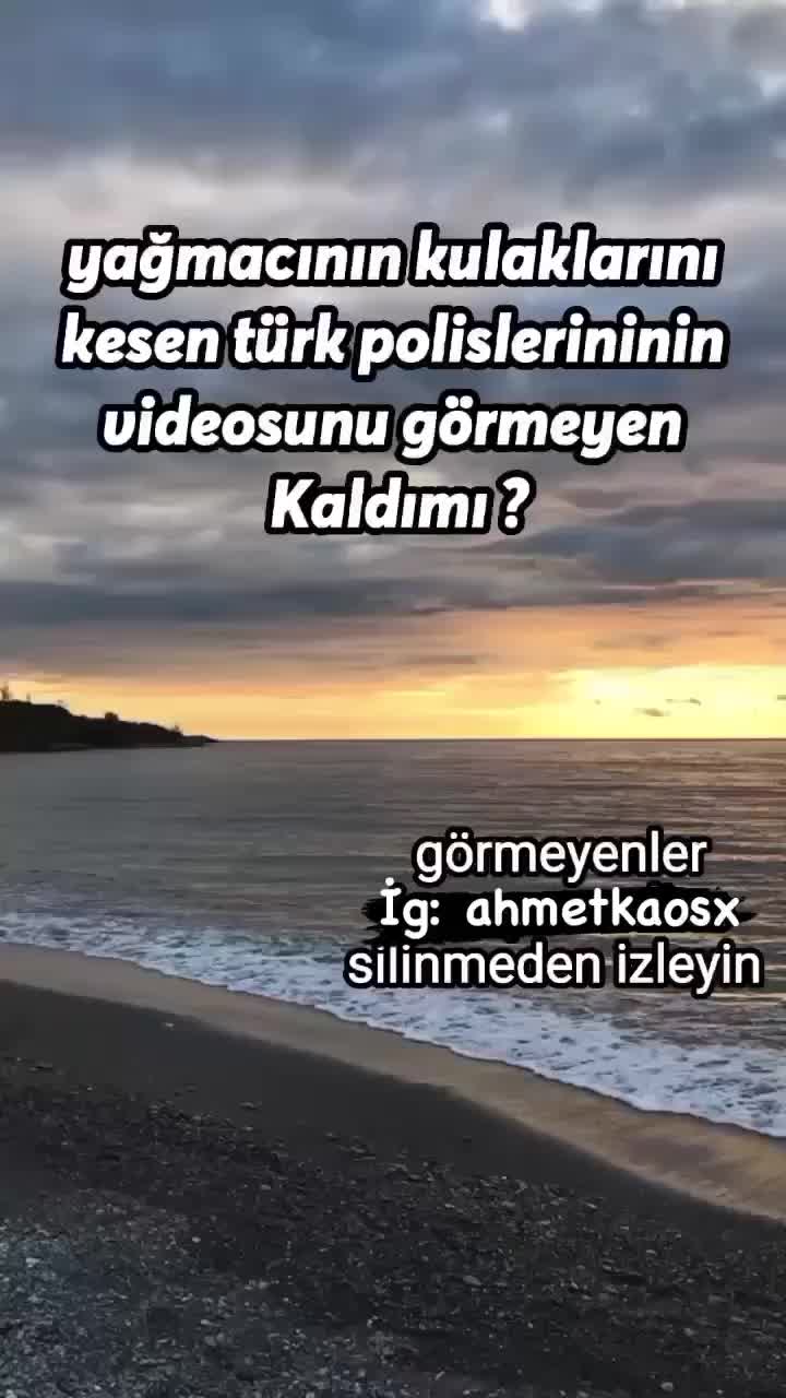 @barış reus