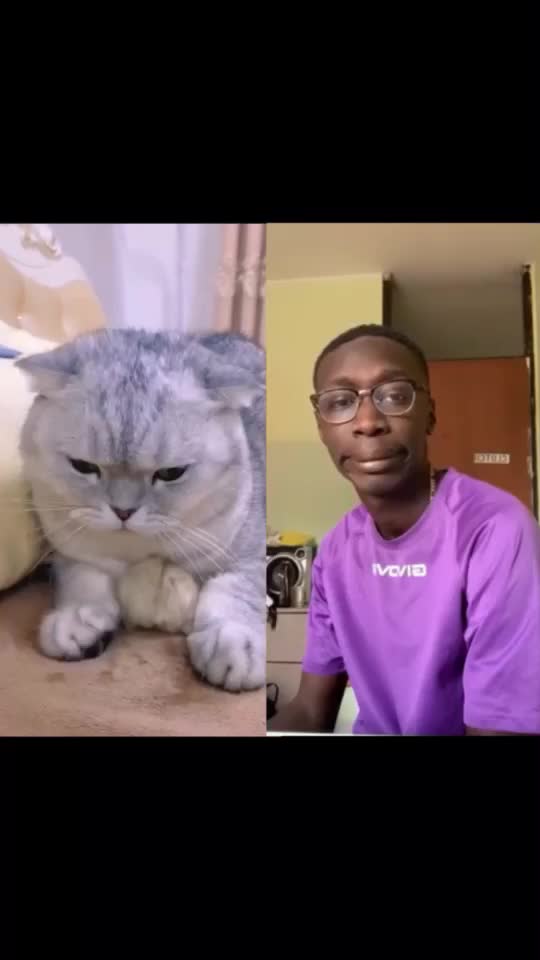 @cutecatterr