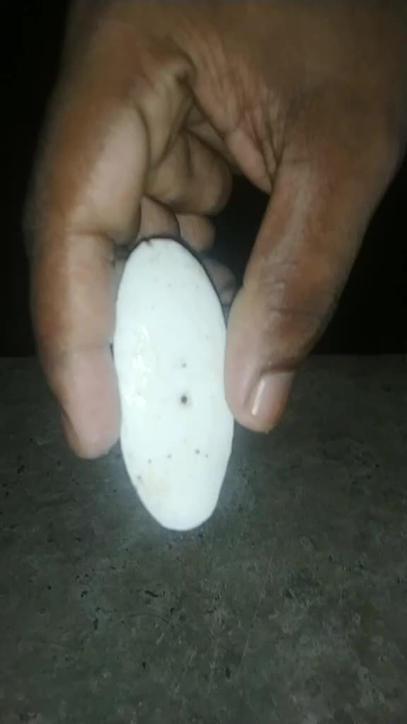 @user69582253402