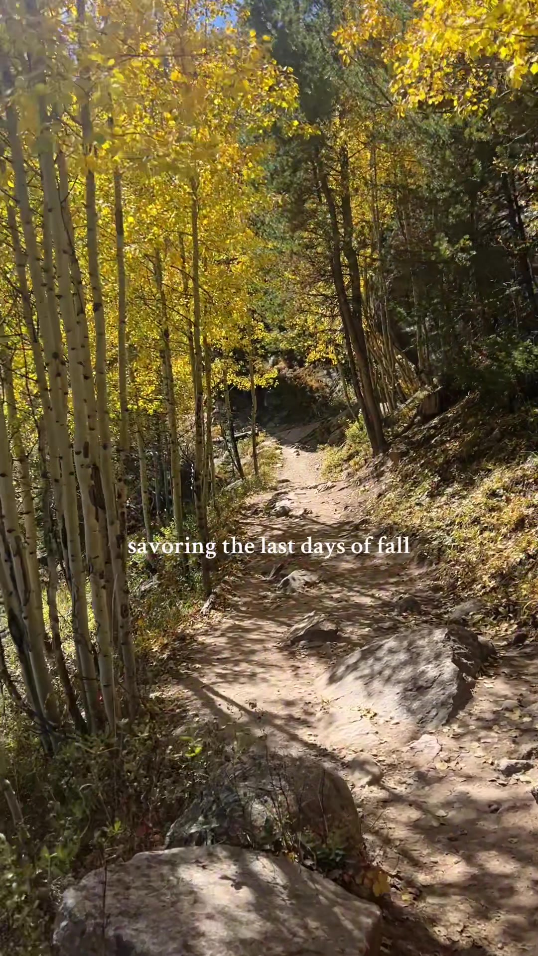 @Granite Gear