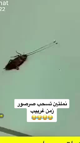 @l_x90x
