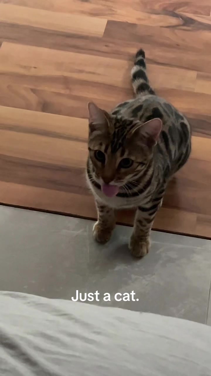 @julipuff8