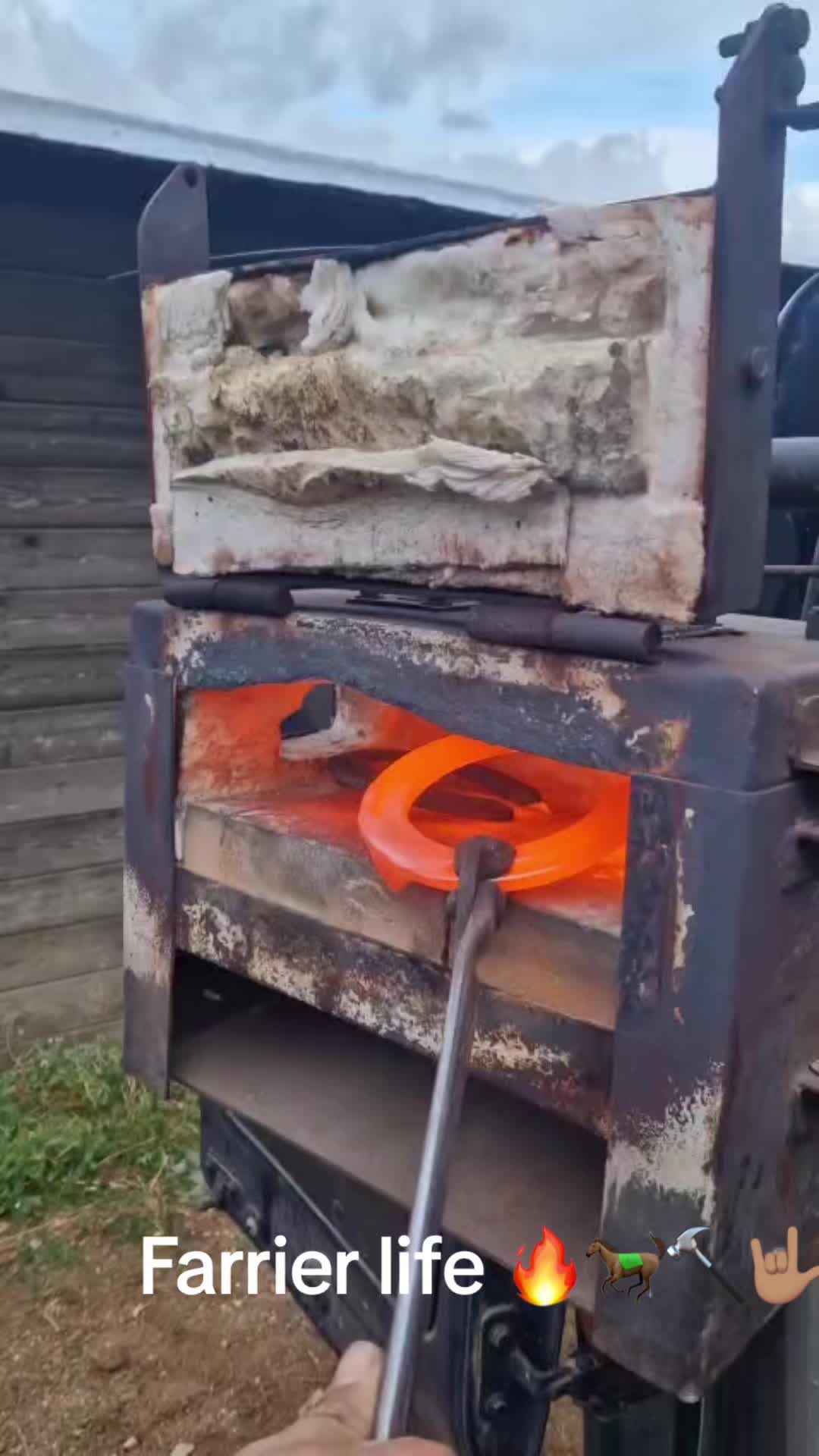@TikTok Farrier