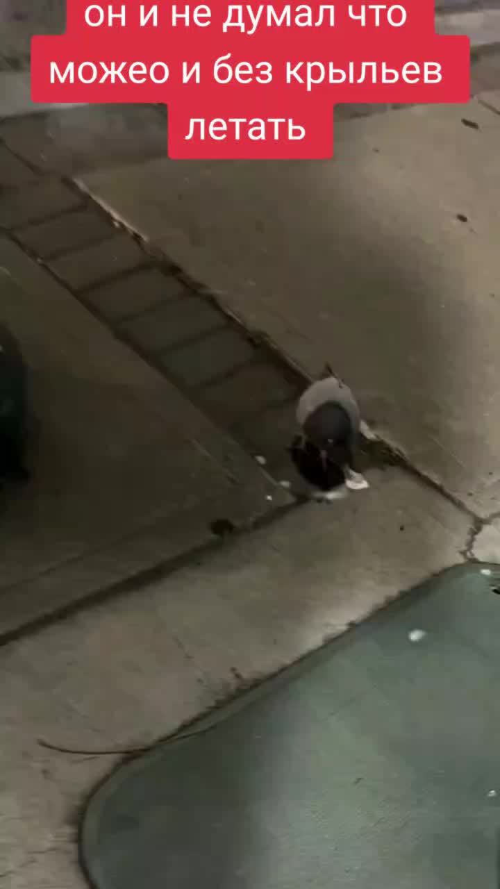 @_Oldmaan_