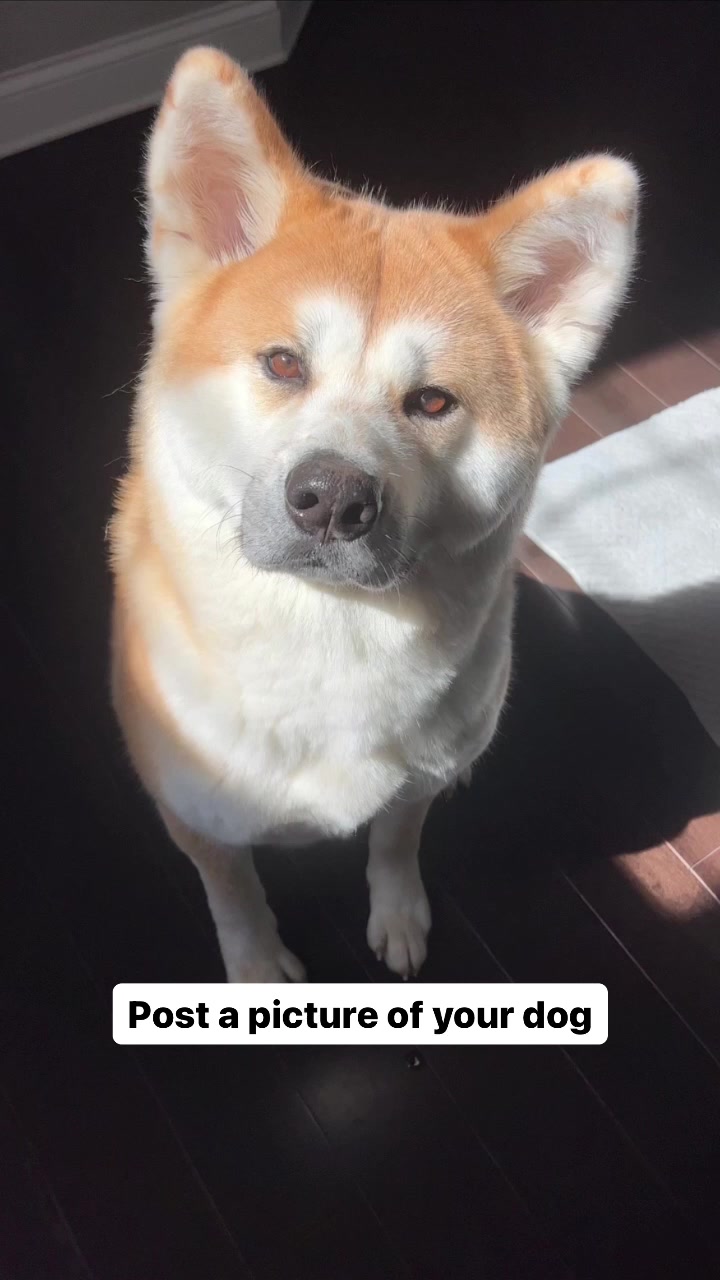@Yuki