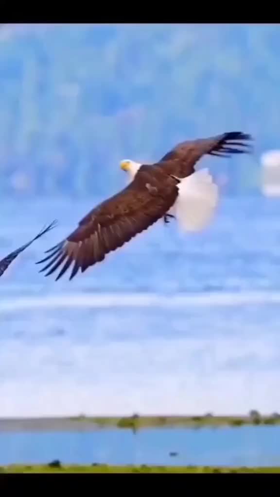 @🦅🦅SAMARQAND🦅🦅🦅