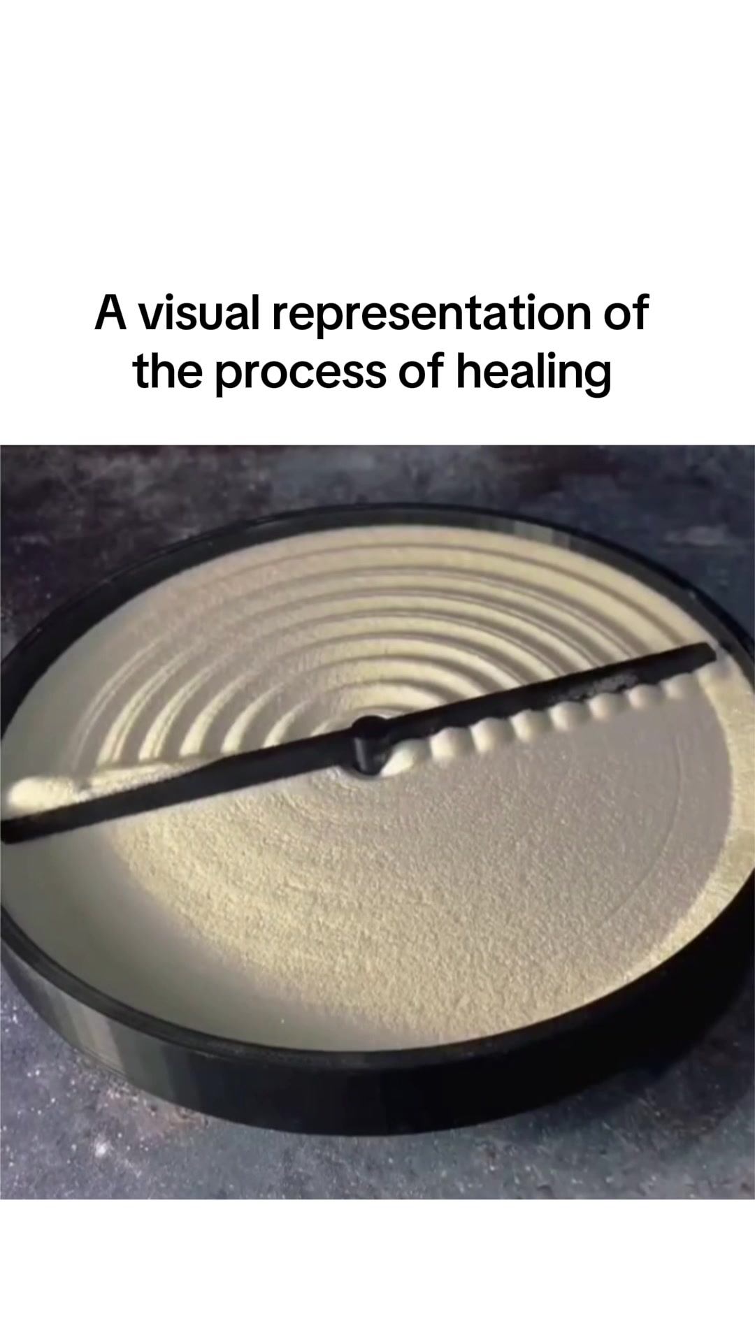 @loonymemes