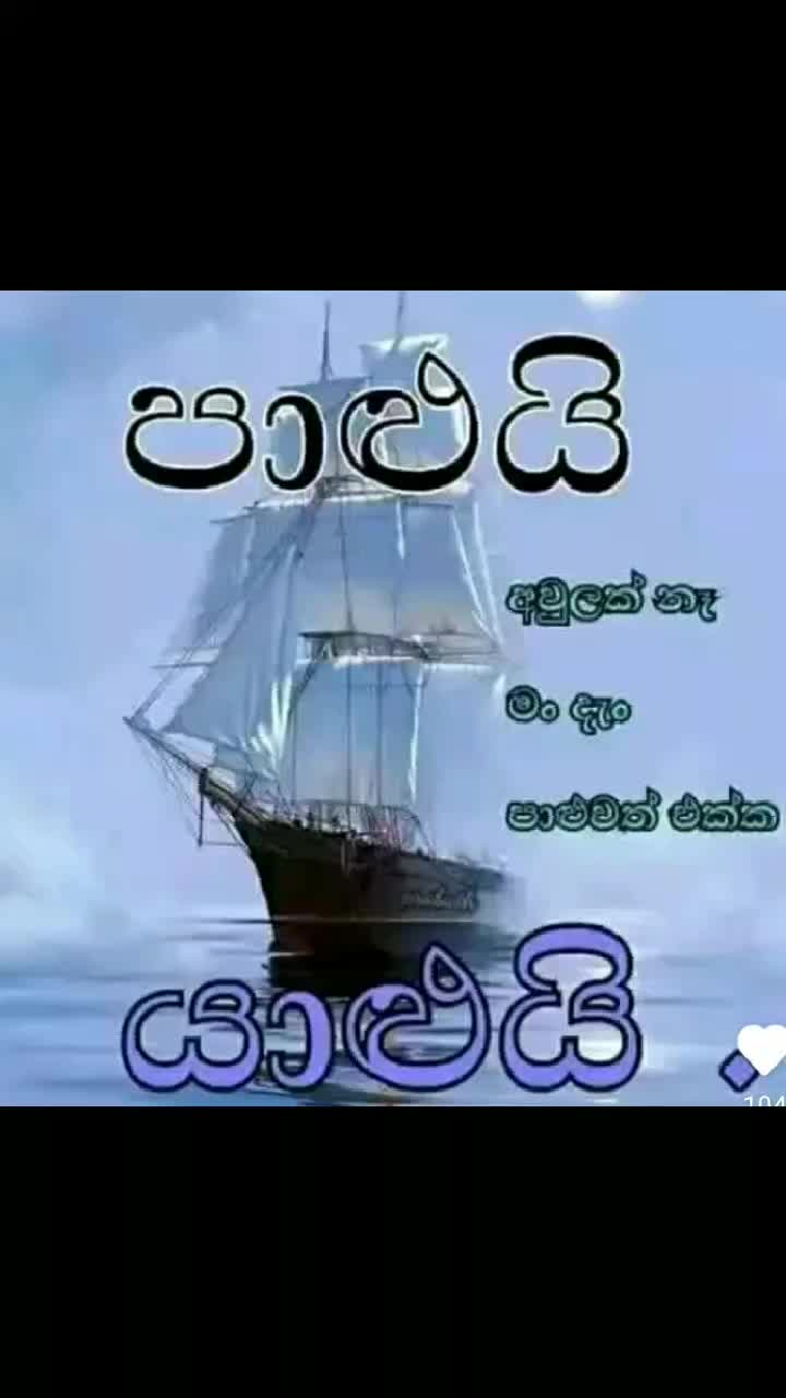 @user5488191246562