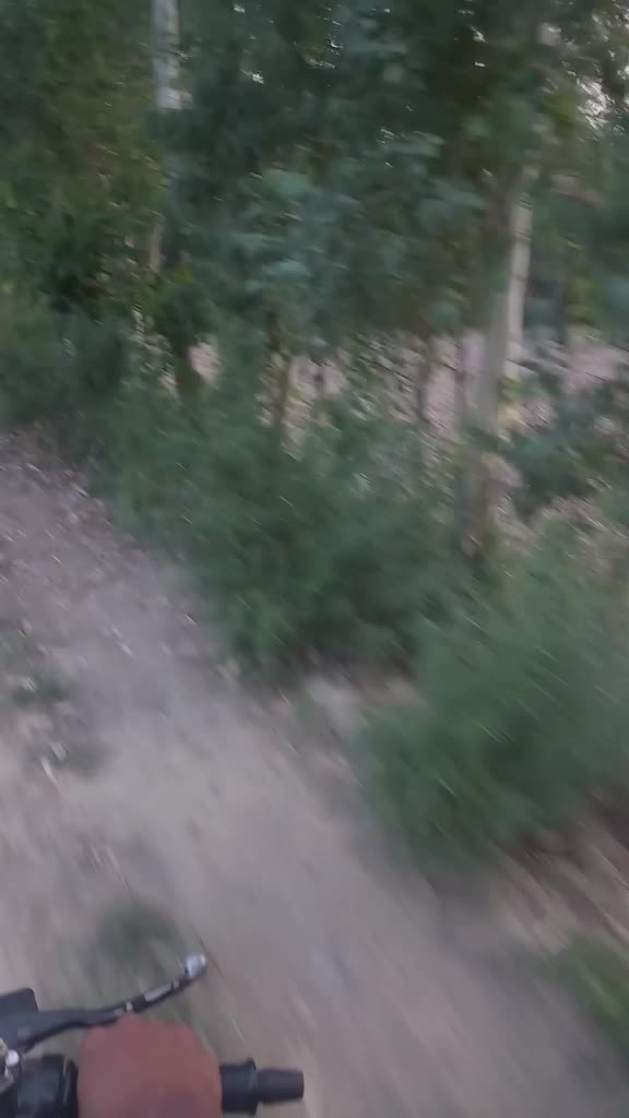 @user6105024828185