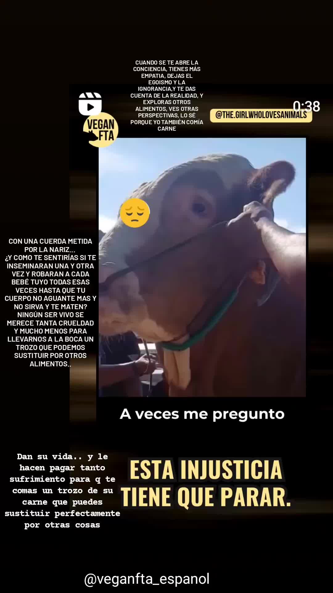 @La Rueda Vegetariana