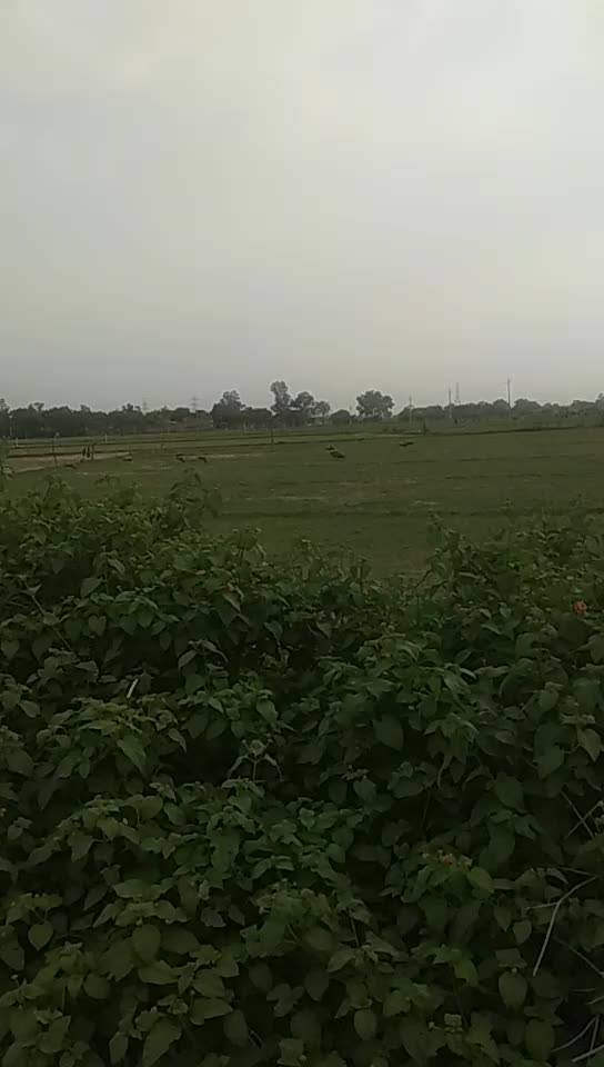 @user265117741503