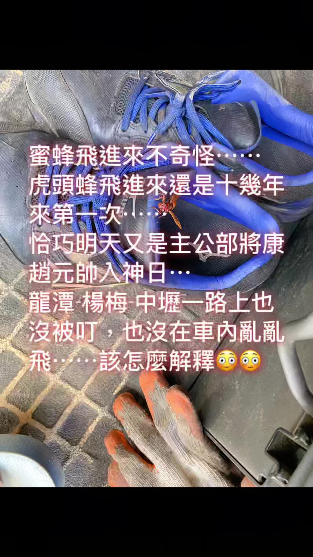 @抖陣聯盟/741殺豬🐻