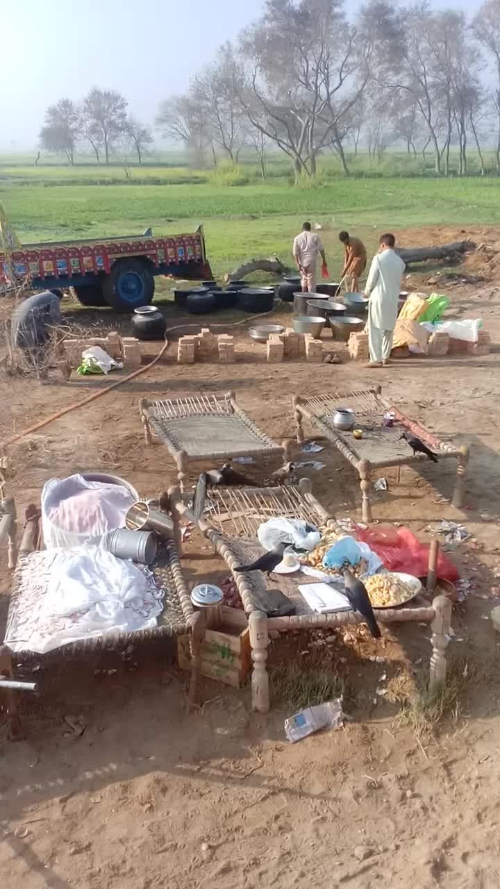 @شاہدین