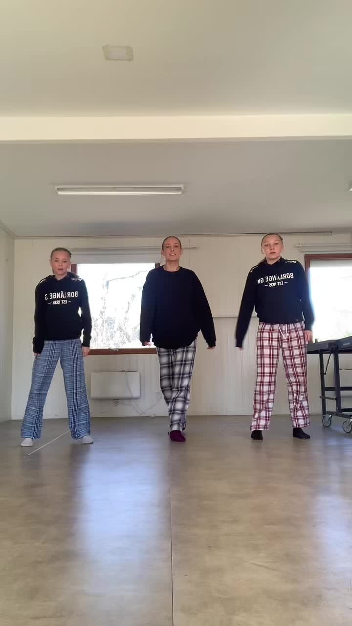 @Borl&auml;ngeTrupp 1