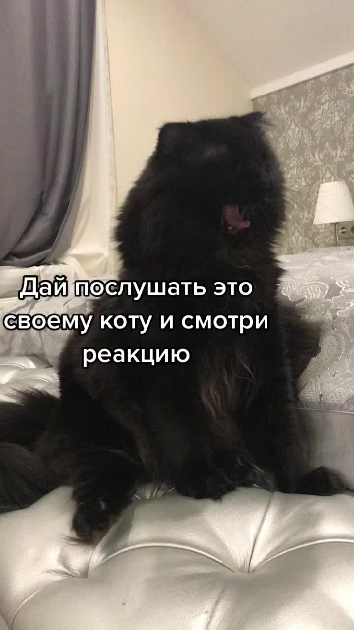 @МОНАВЛЮ
