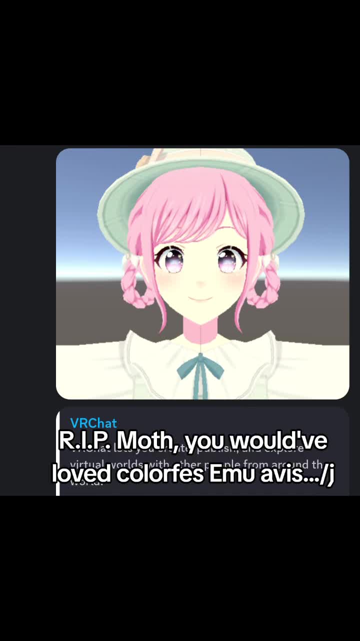 @Rui 🎈