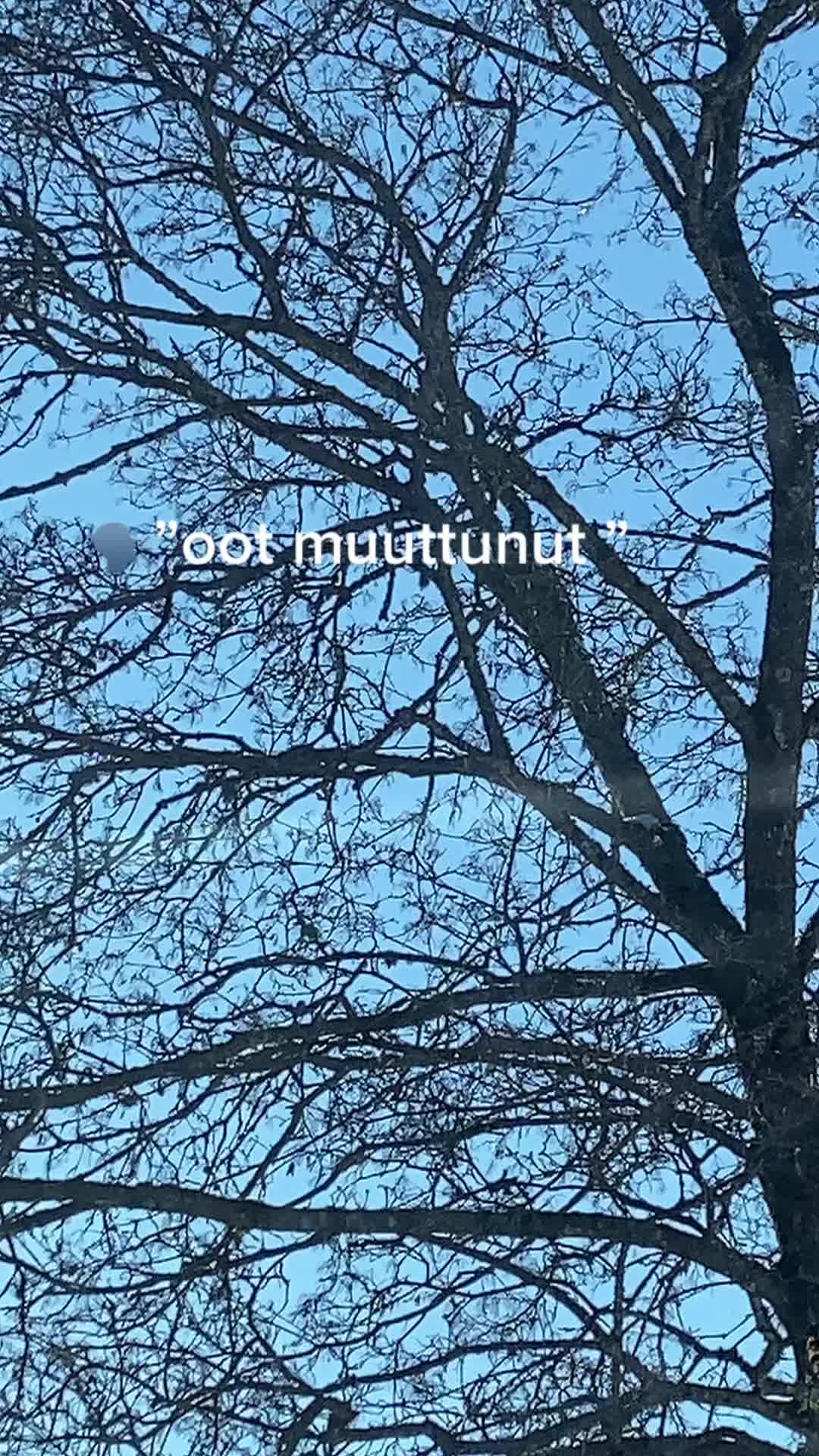 @p&auml;iv&auml;kirjani