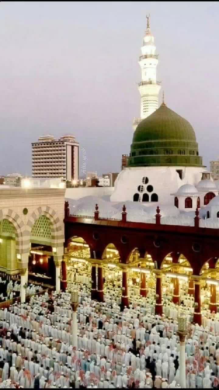 @malikmubeen302324