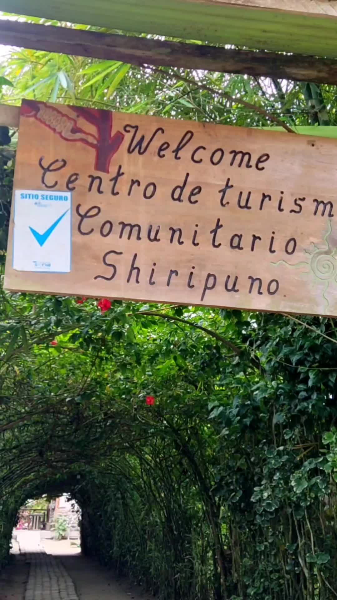 @CTC Shiripuno_official 🍃💧