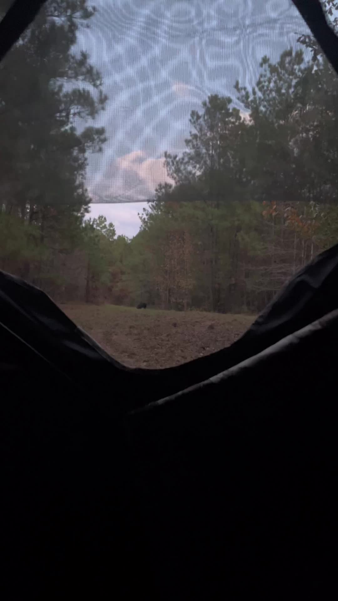 @Wopindawoods