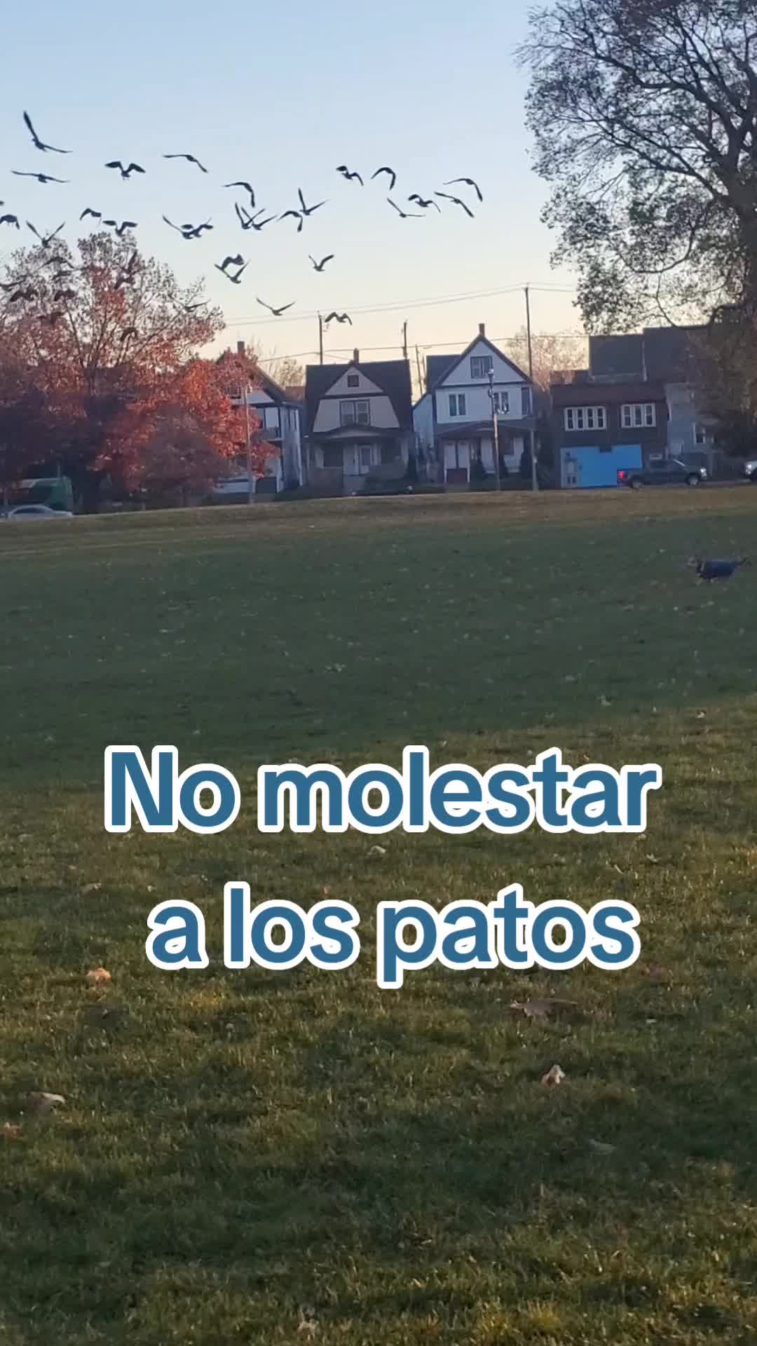 @Rufus007