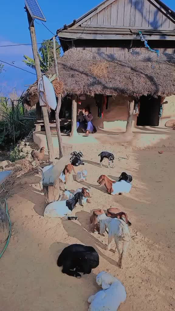 @thingbran2