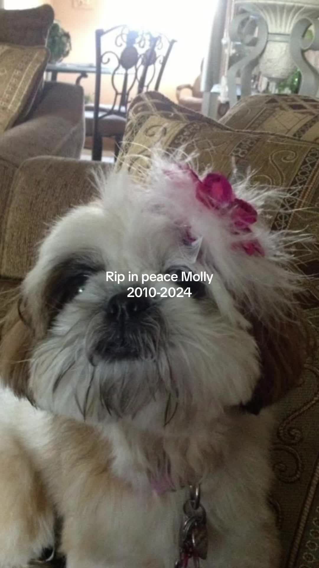 @Melody