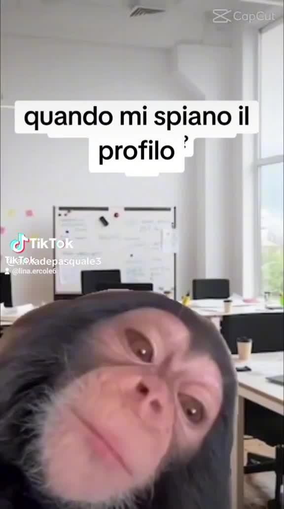 @Lina Ercole