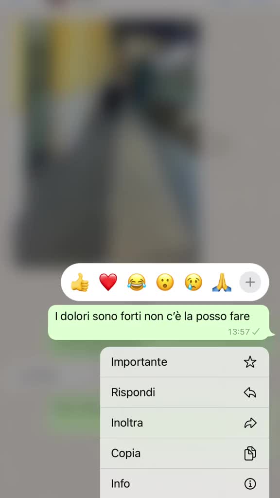 @Mariarosa_Fago❗️🌹