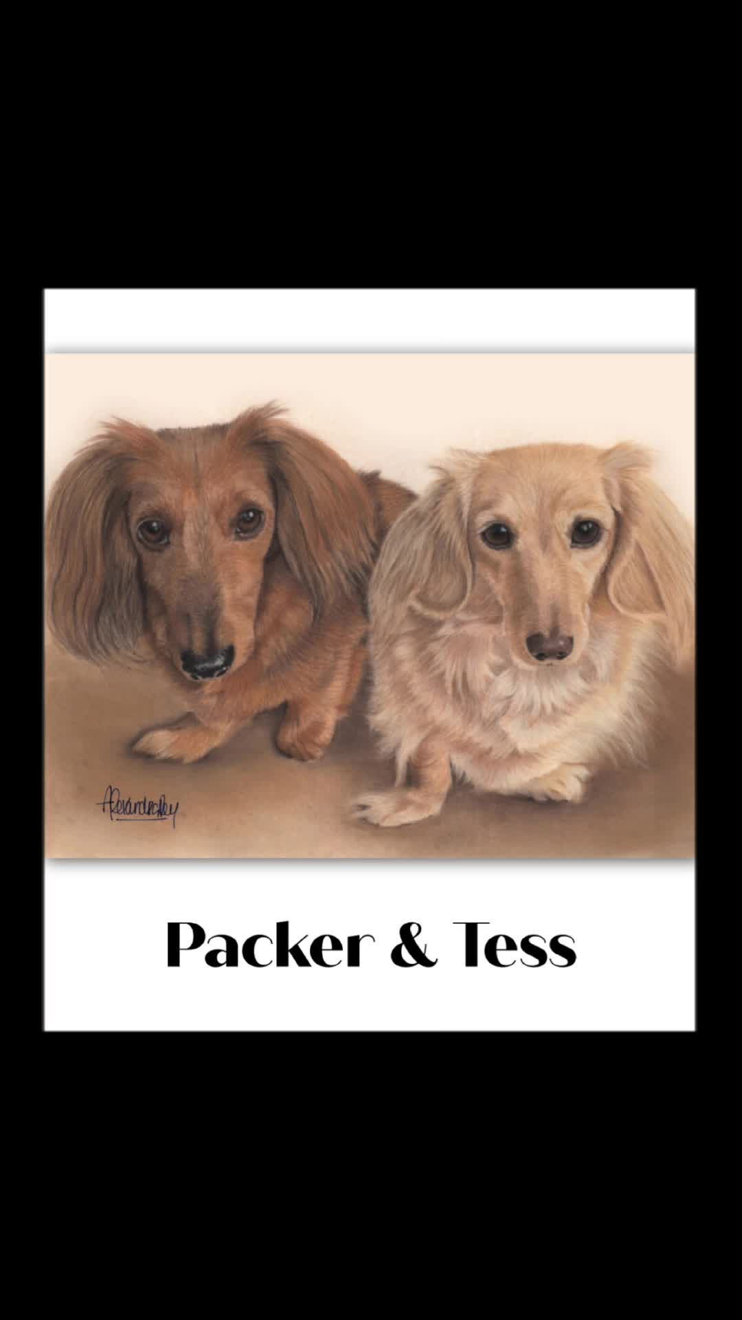 @Paw Prints Pet Art