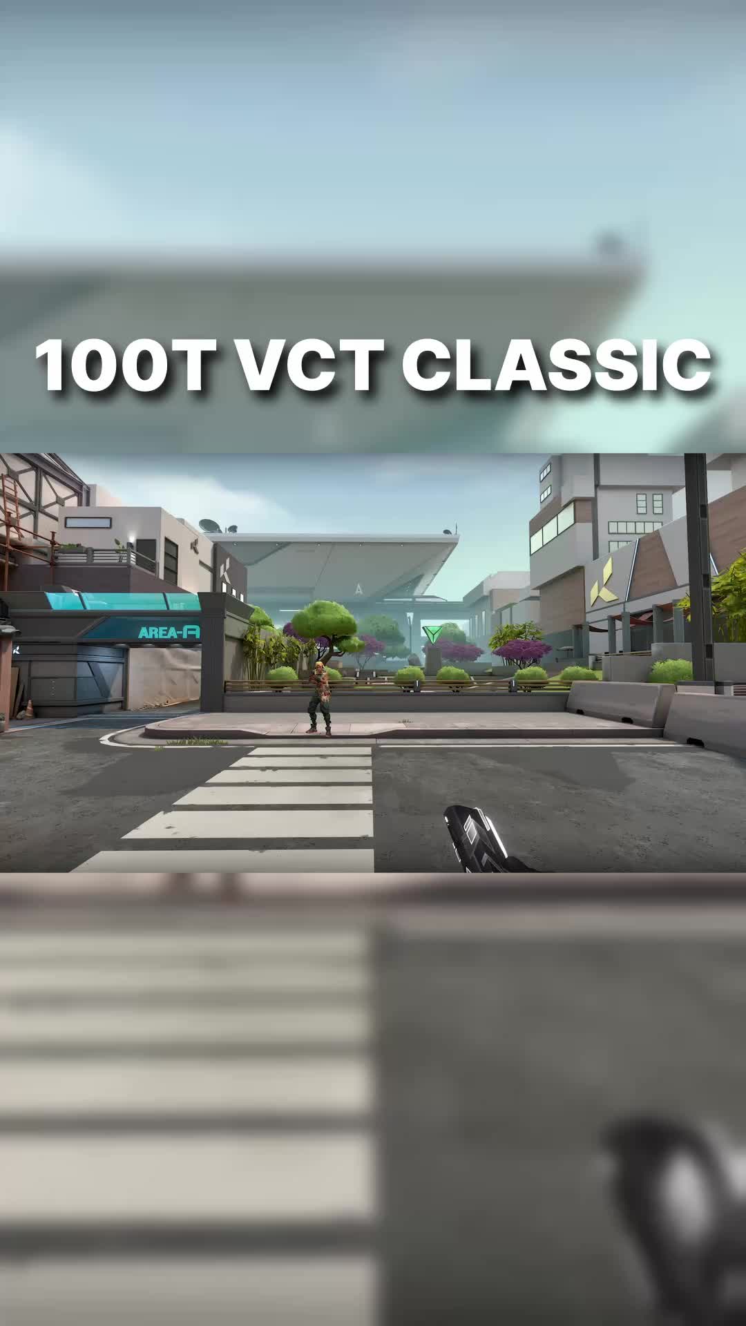 @ValorLeaks