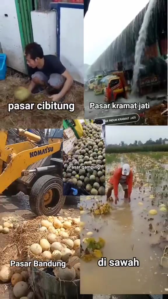 @Kempling Melon