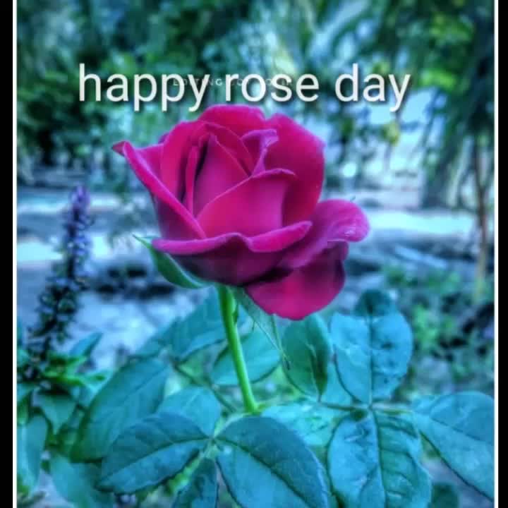 @user5952161309647