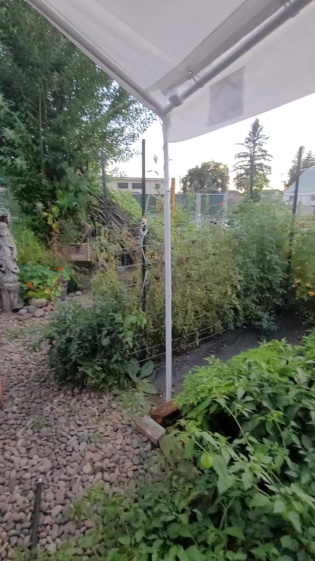 @Crappy Gardener