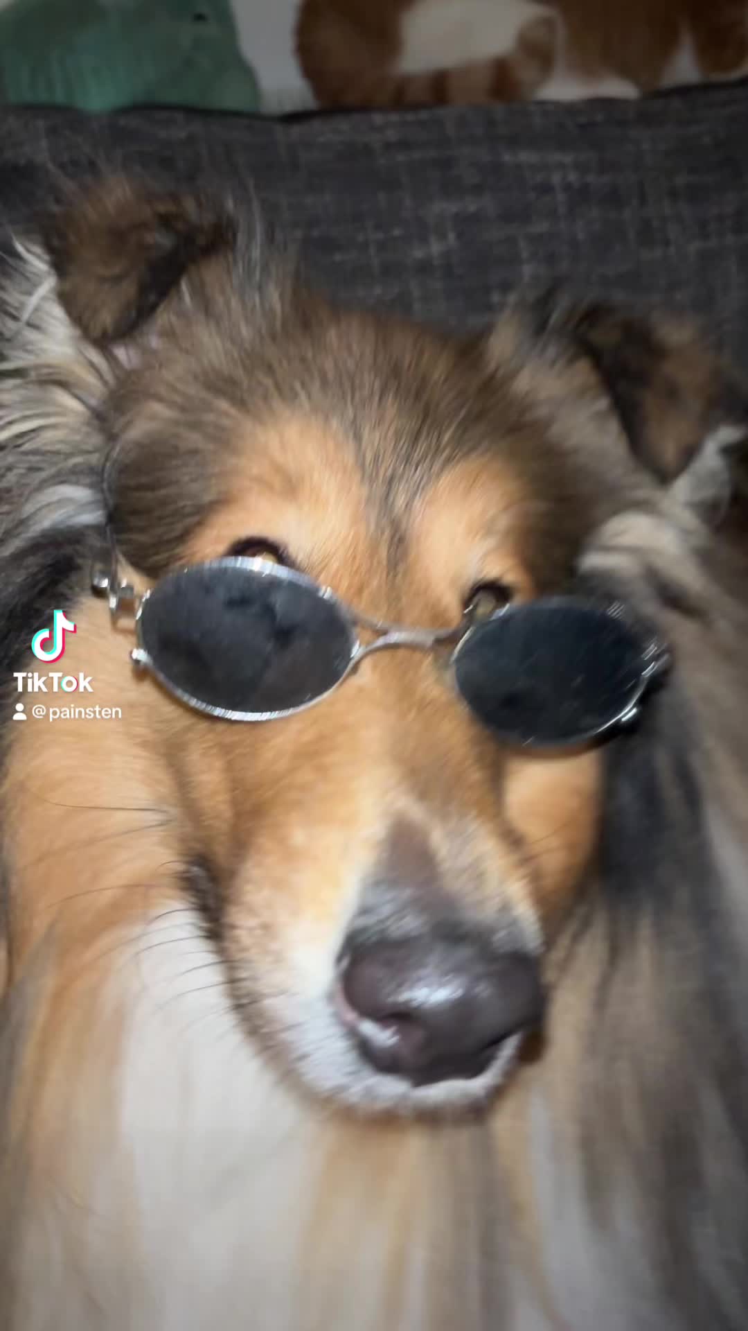 @ʀᴏɴᴊᴀ