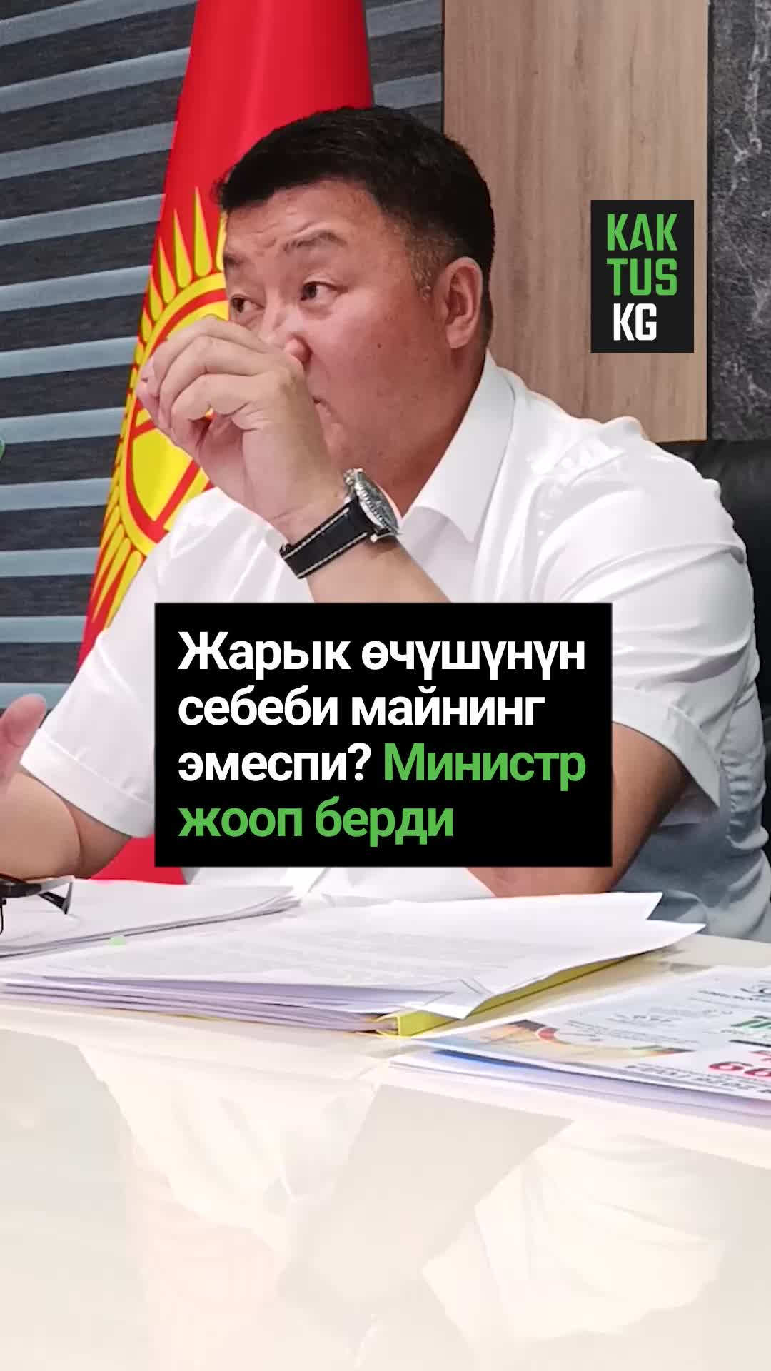 @Kaktus KG