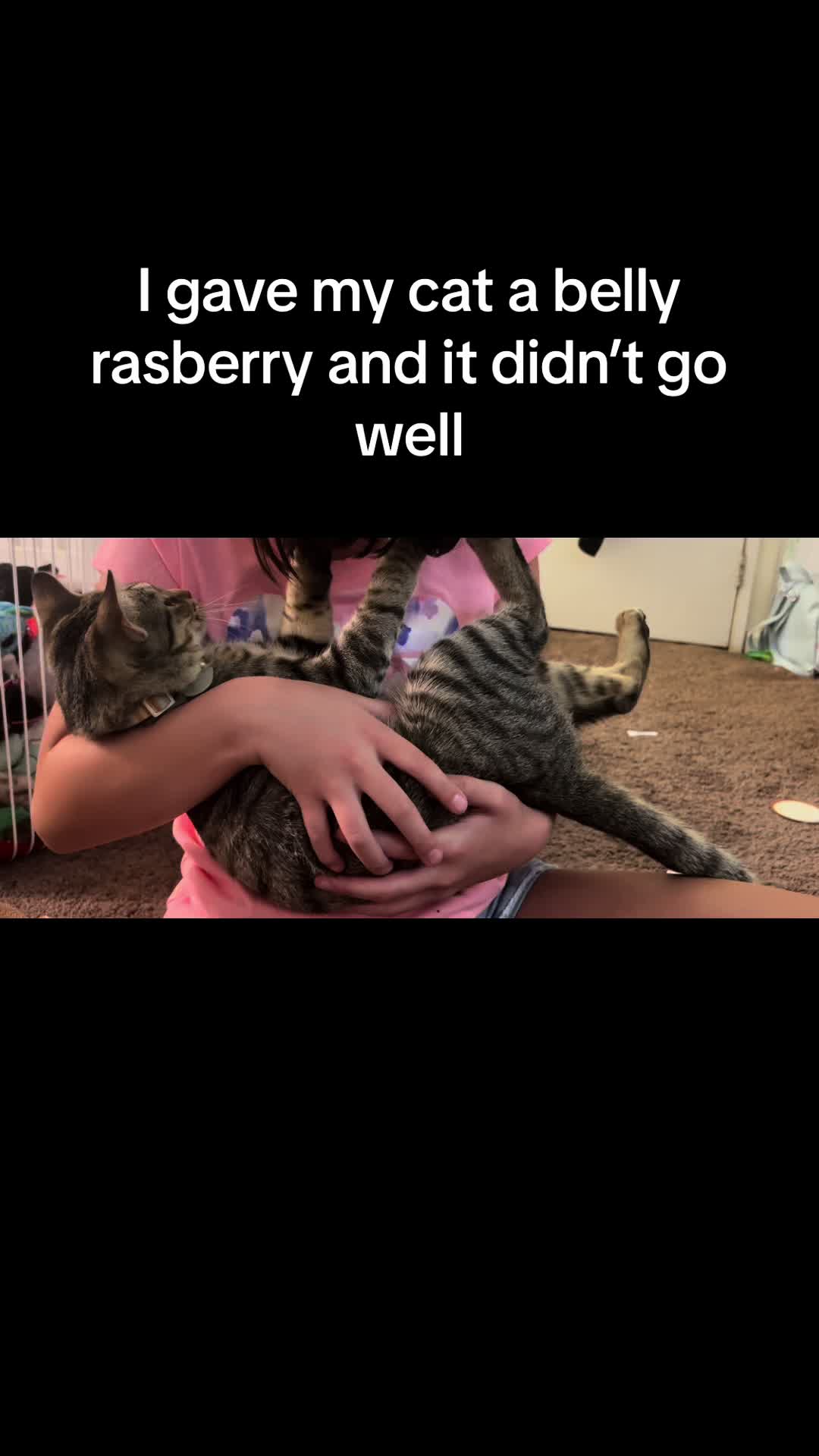 @Tokio Drift The Cat