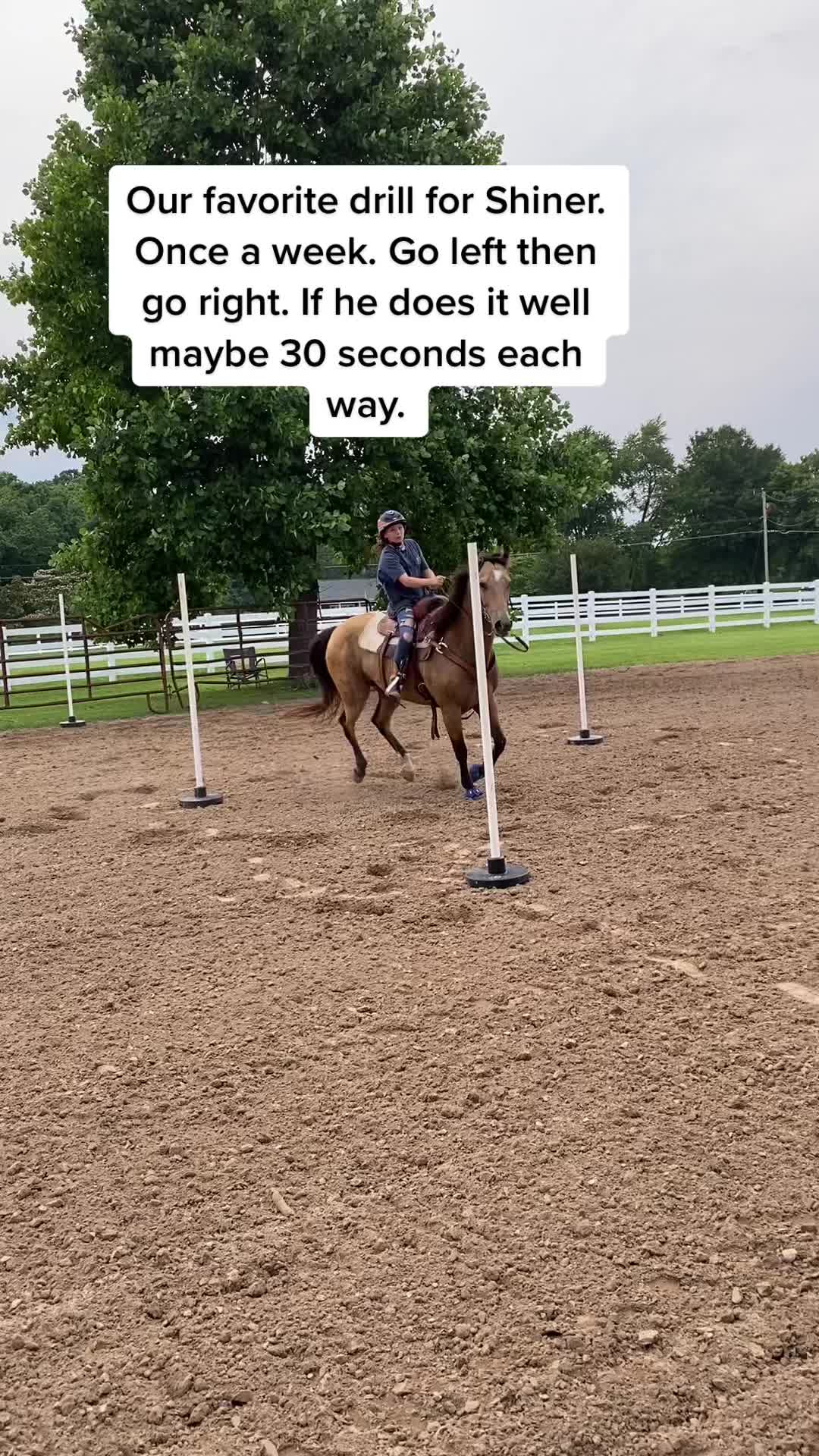 @Barrel racing dad